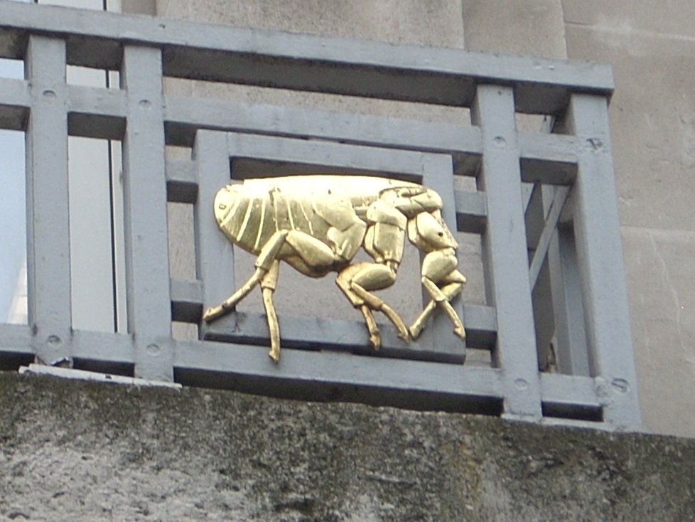 London School of Hygiene and Tropical Medicine  (22).JPG